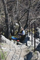 an2_008793.jpg