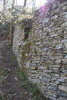an2_008799.jpg