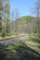 an2_008801.jpg