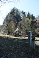 an2_008803.jpg