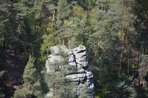 an2_008830.jpg
