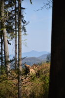 an2_008835.jpg
