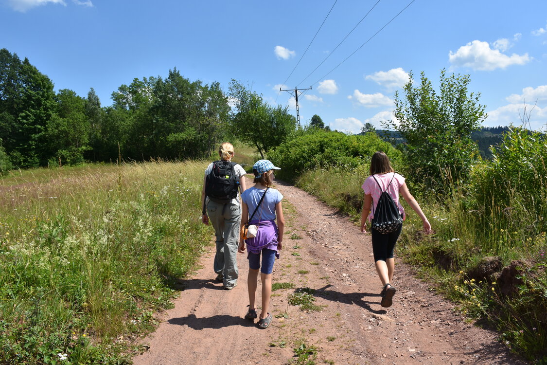 an2_005120.jpg