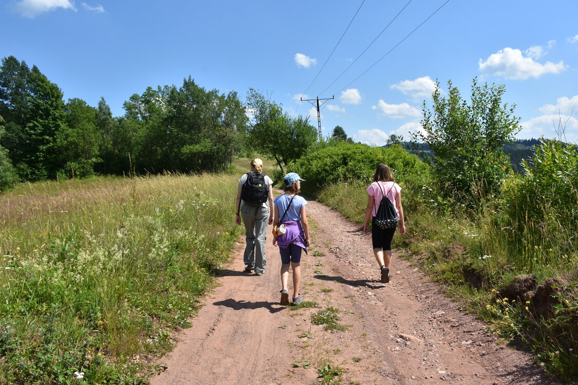 an2_005121.jpg