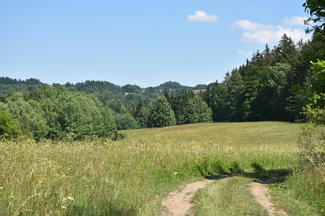 an2_005126.jpg