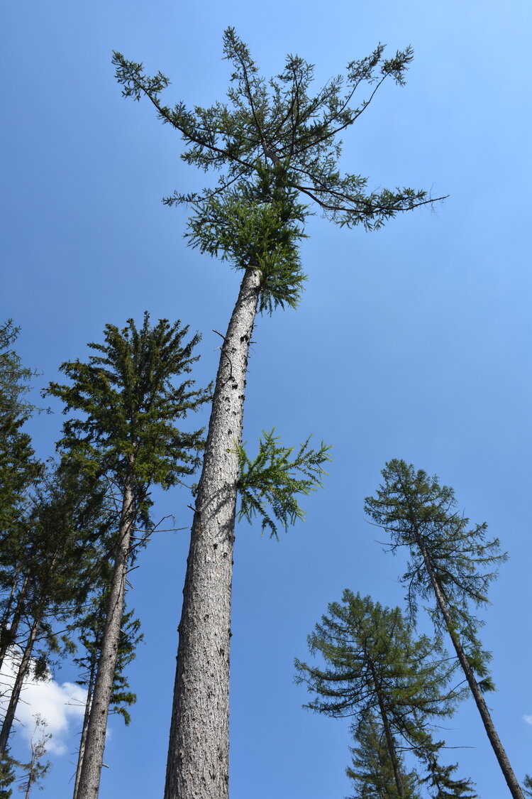 an2_005128.jpg
