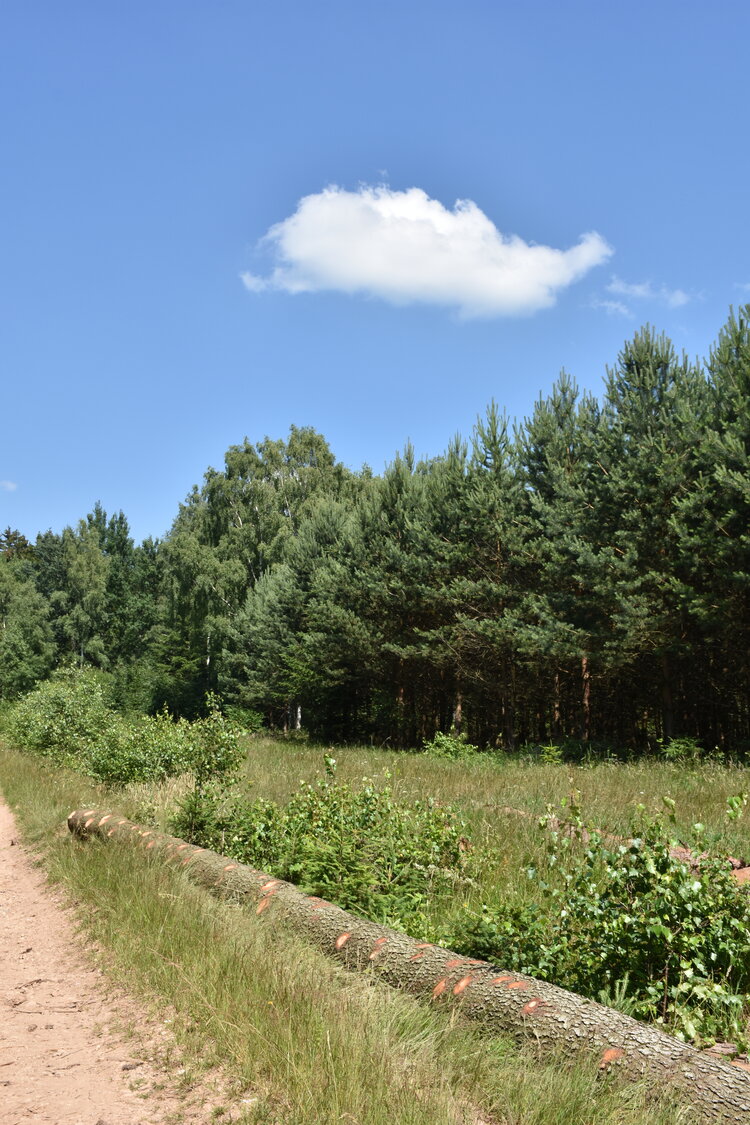 an2_005129.jpg