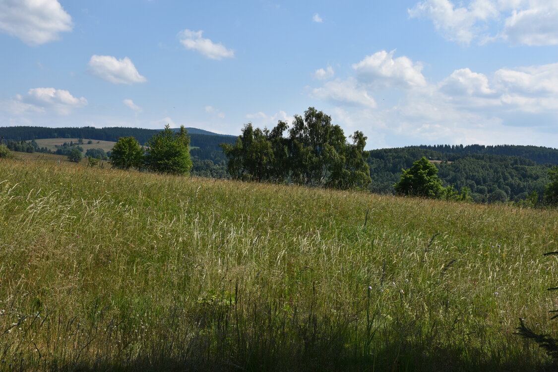 an2_005134.jpg