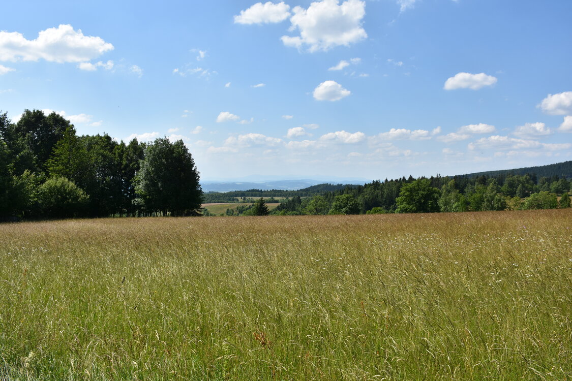 an2_005135.jpg
