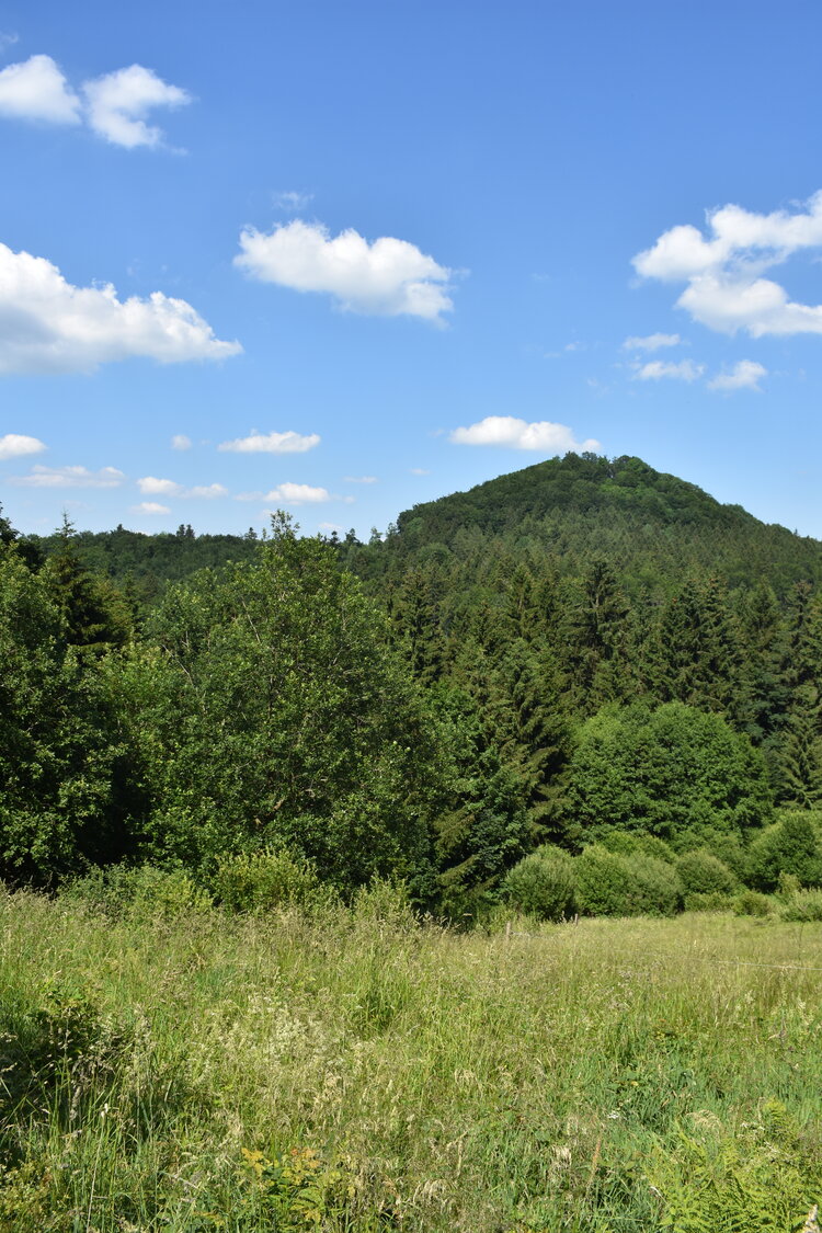 an2_005139.jpg