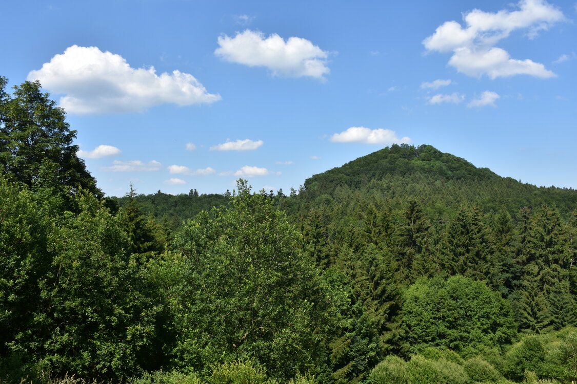 an2_005140.jpg