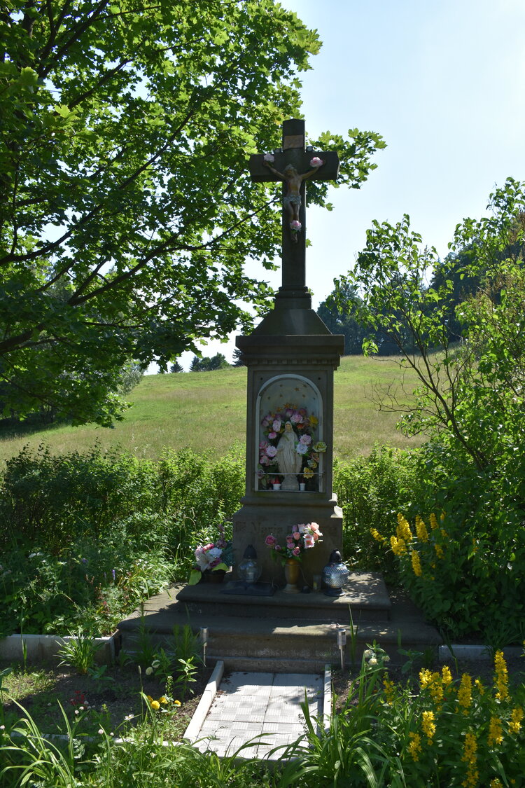 an2_005144.jpg