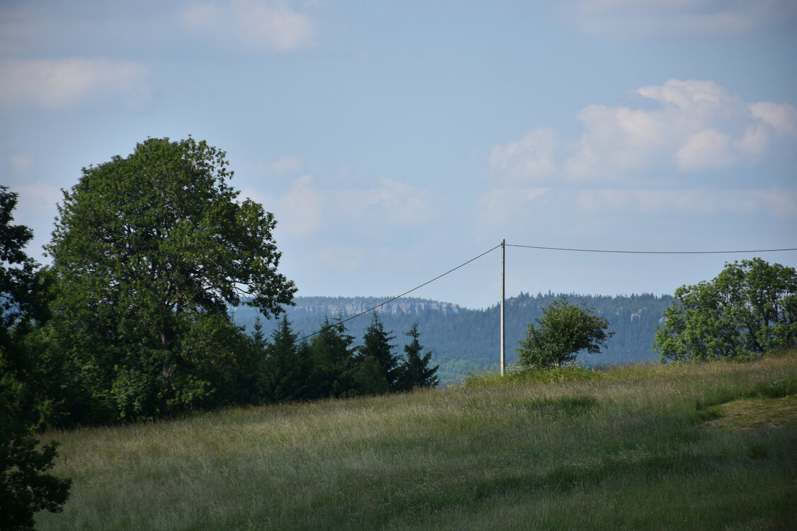 an2_005150.jpg