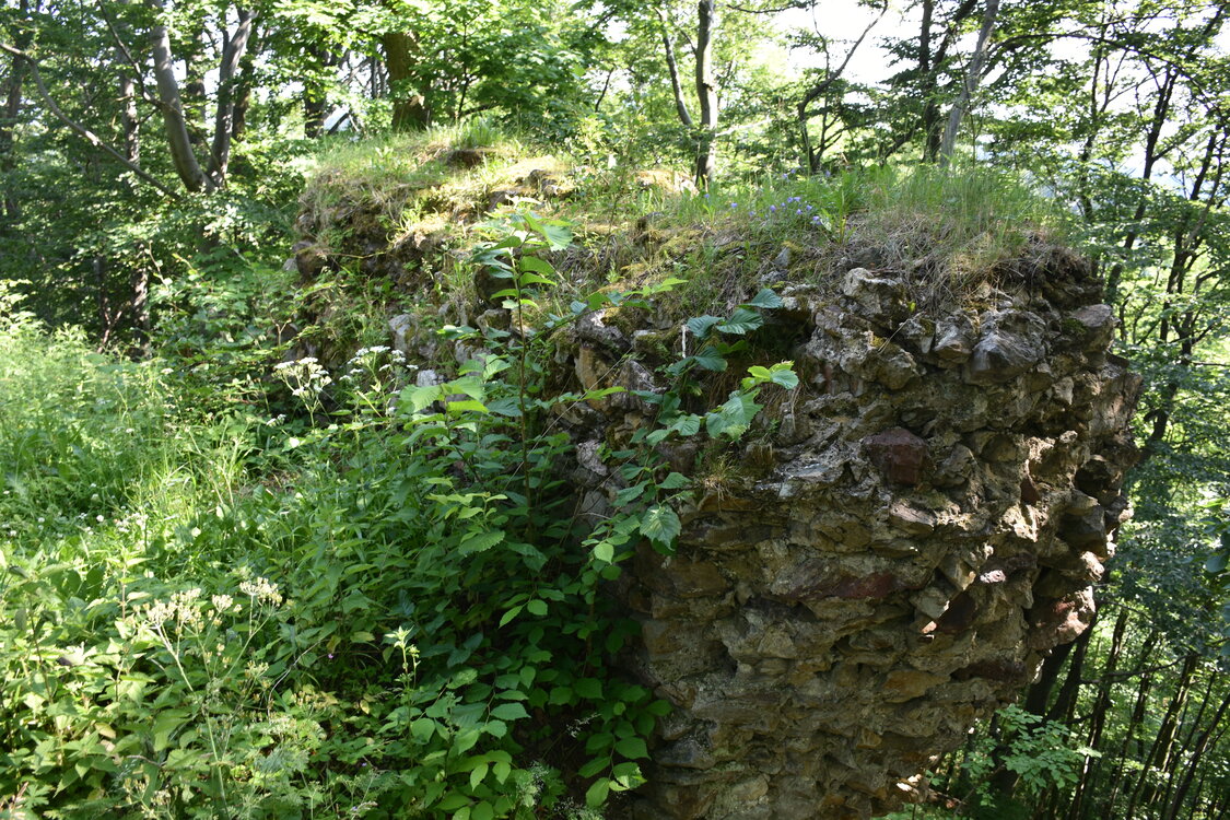 an2_005152.jpg