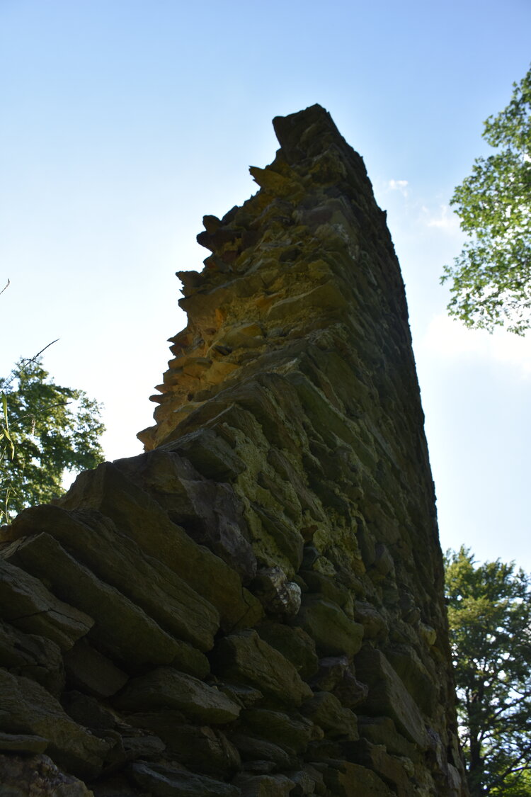 an2_005156.jpg