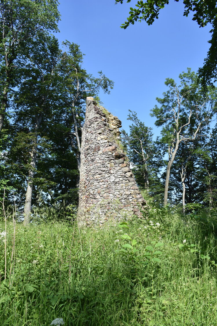 an2_005162.jpg