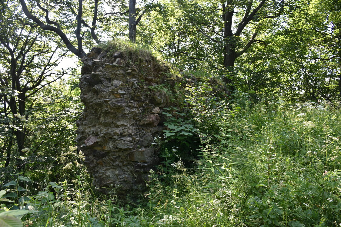 an2_005163.jpg