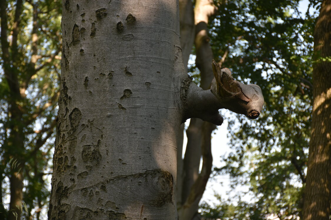 an2_005164.jpg