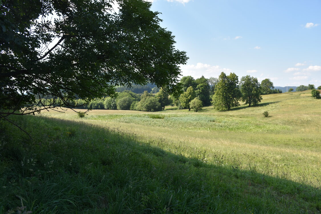 an2_005168.jpg