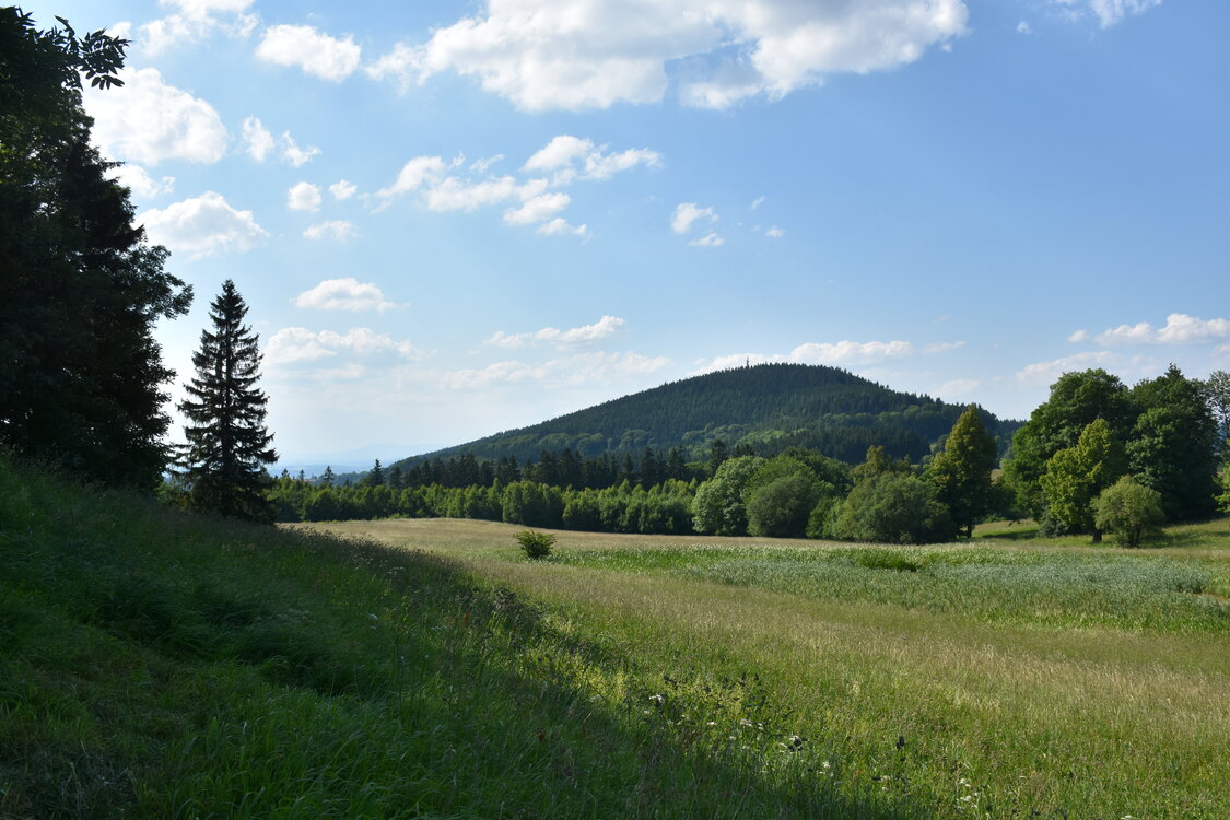 an2_005170.jpg