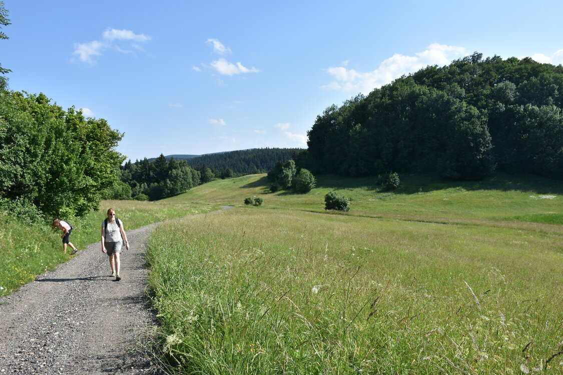 an2_005172.jpg