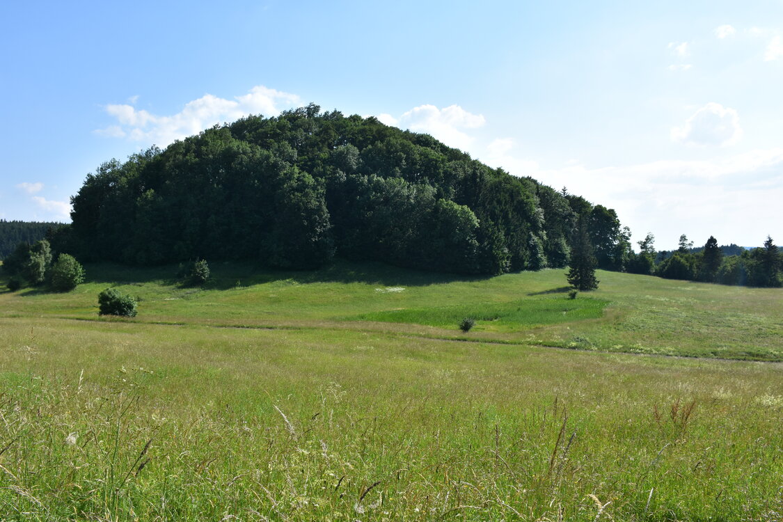 an2_005173.jpg