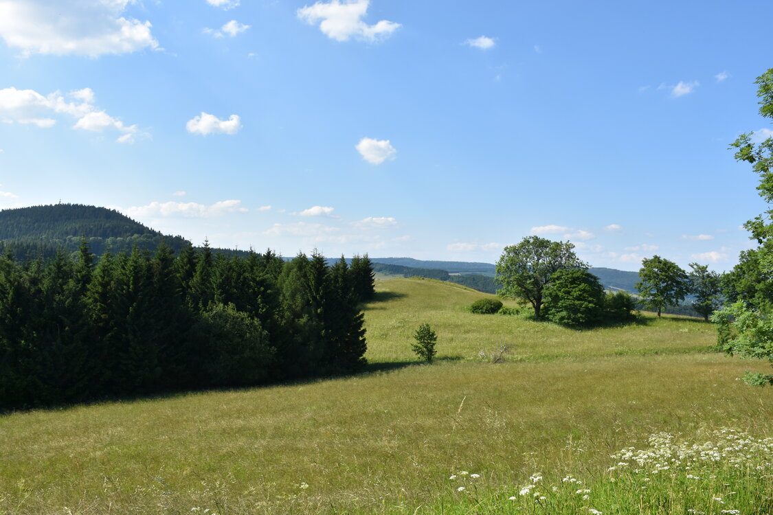 an2_005174.jpg