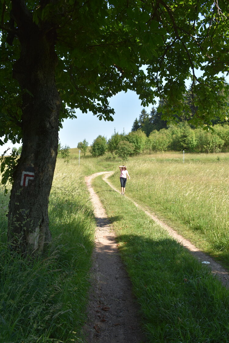 an2_005177.jpg