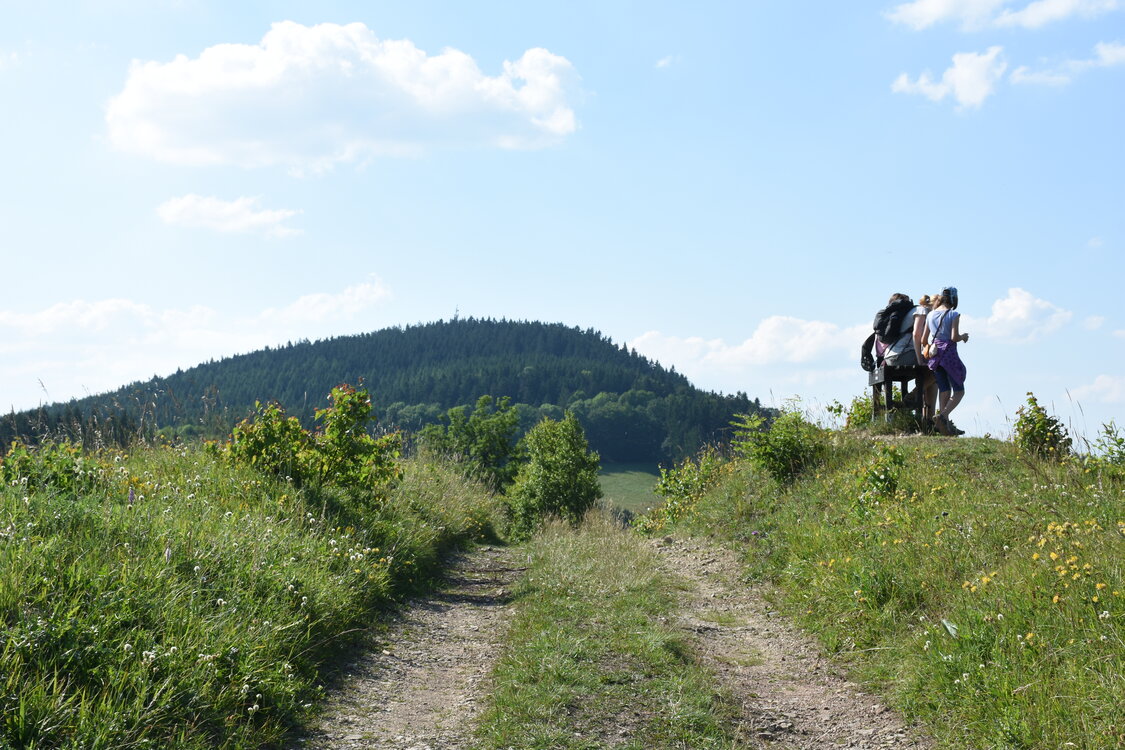 an2_005183.jpg