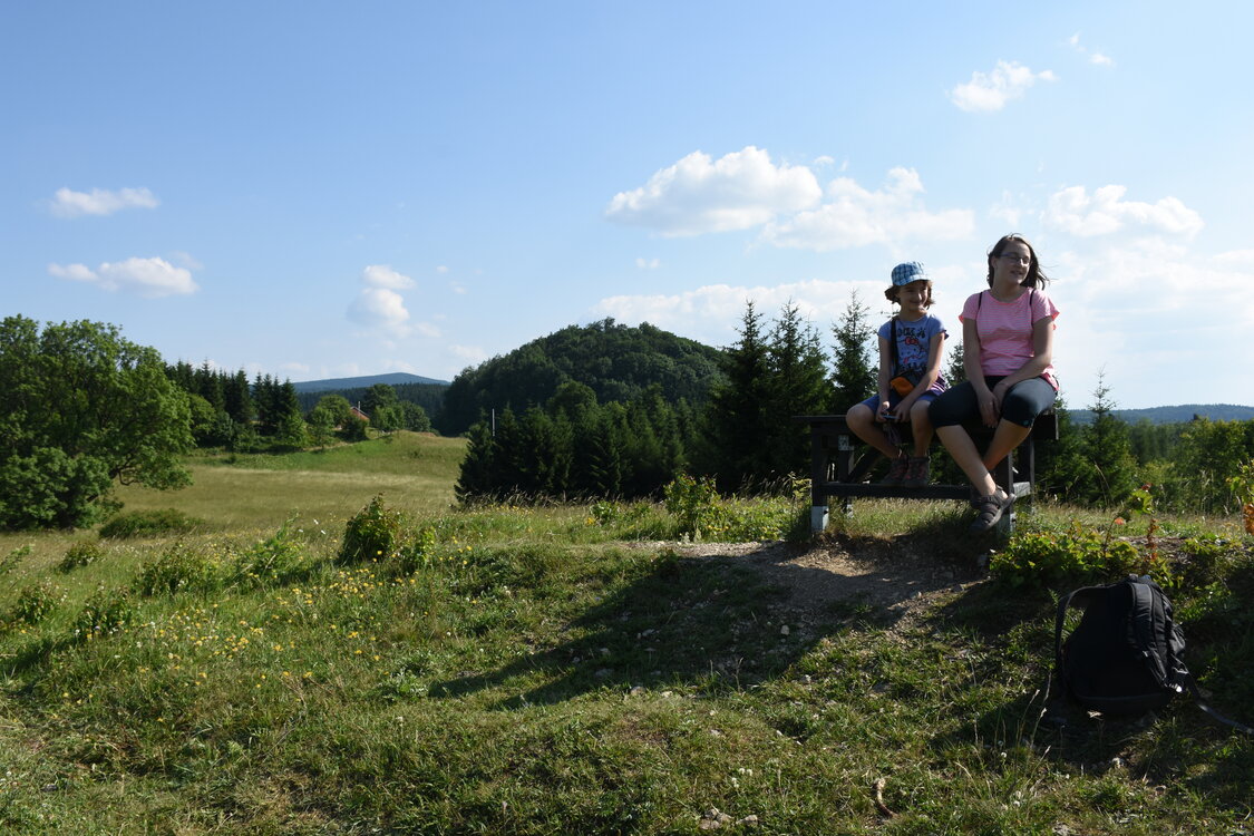 an2_005190.jpg