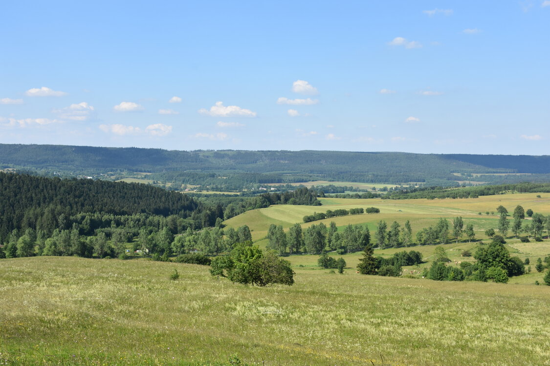 an2_005199.jpg