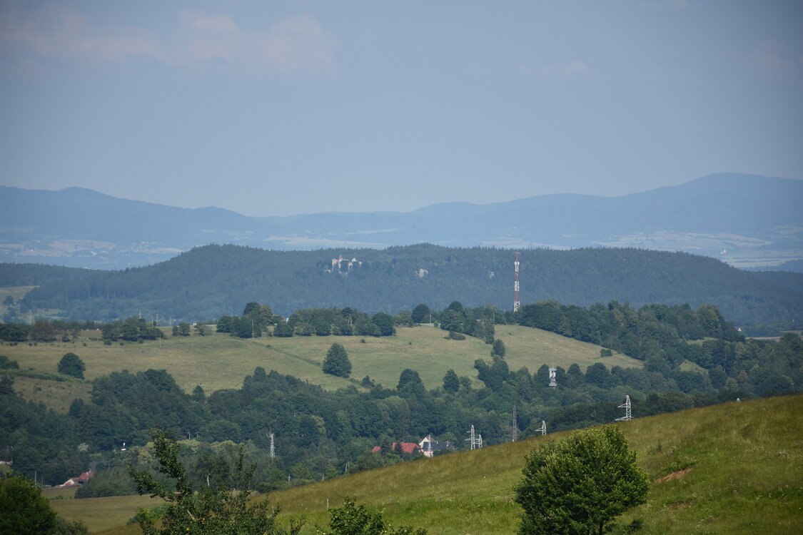 an2_005200.jpg