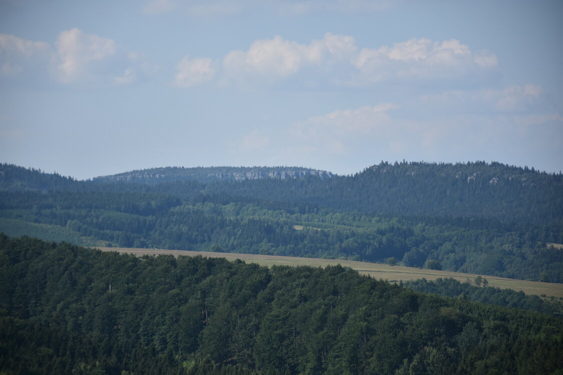 an2_005201.jpg