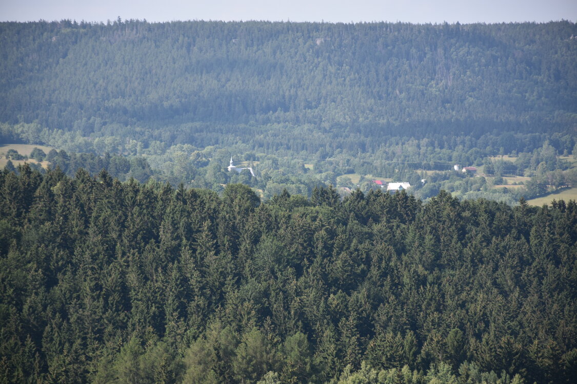 an2_005202.jpg