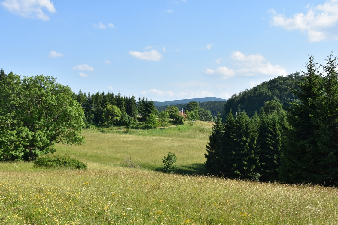 an2_005214.jpg