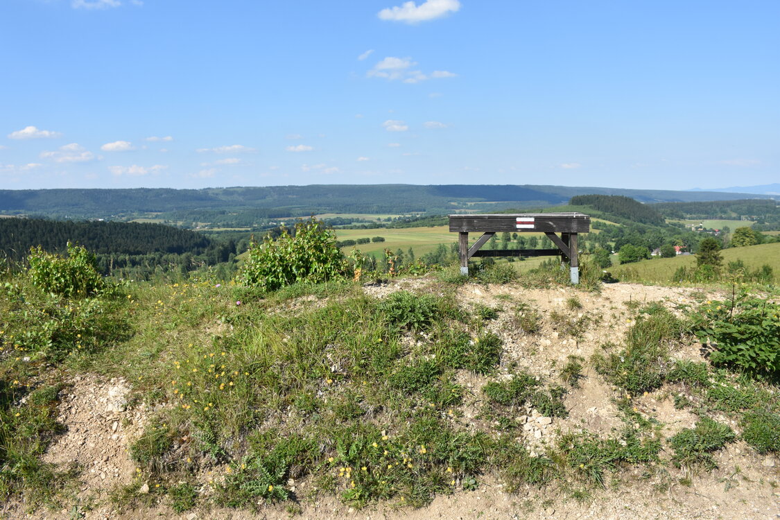 an2_005215.jpg