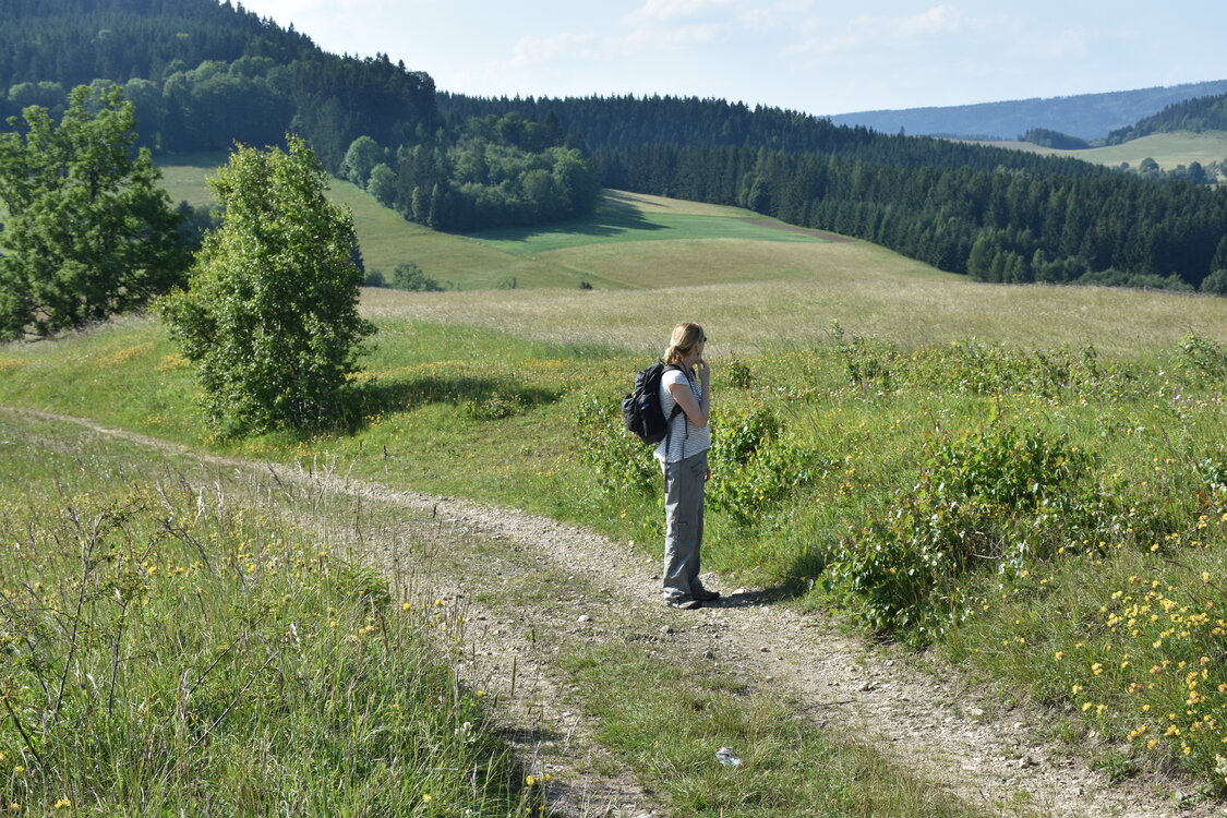 an2_005227.jpg