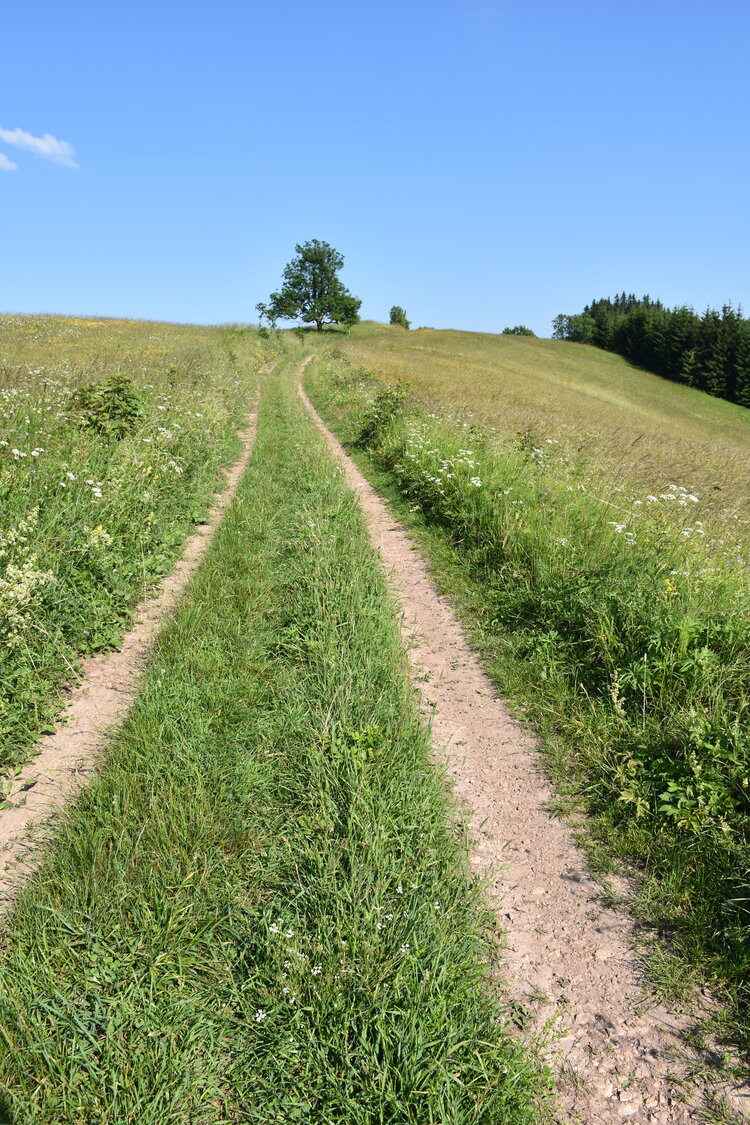an2_005231.jpg