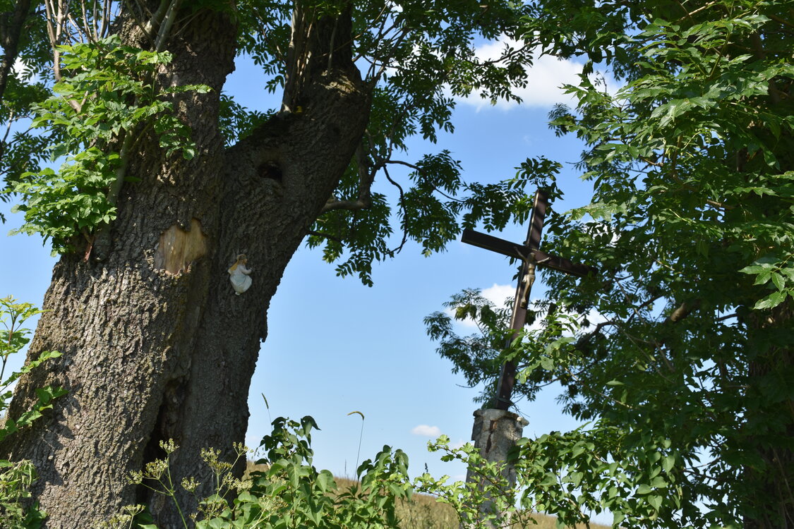 an2_005235.jpg