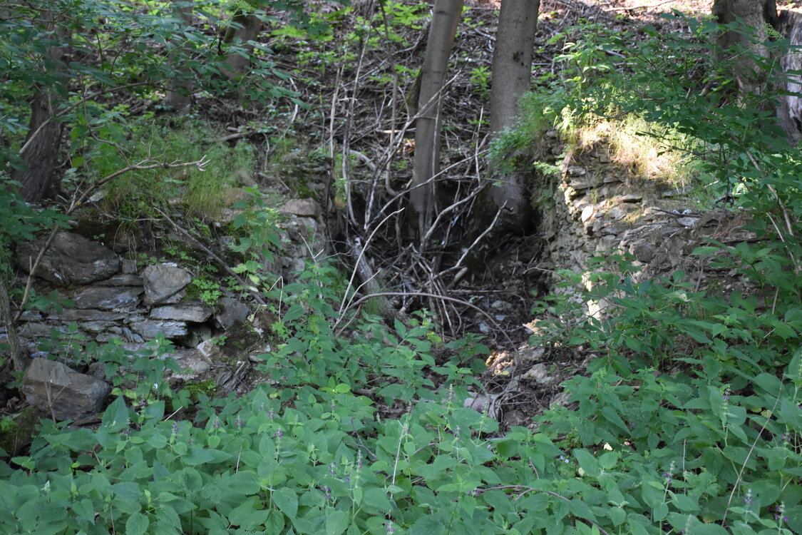 an2_005243.jpg