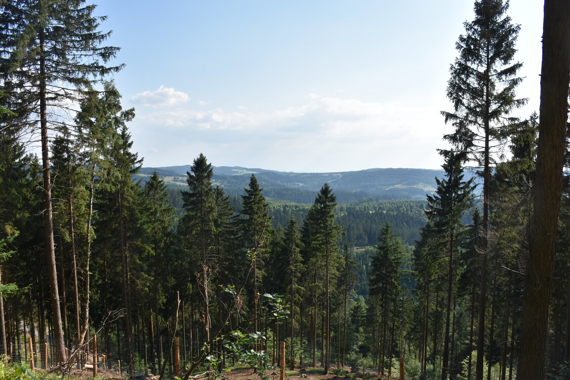 an2_005249.jpg