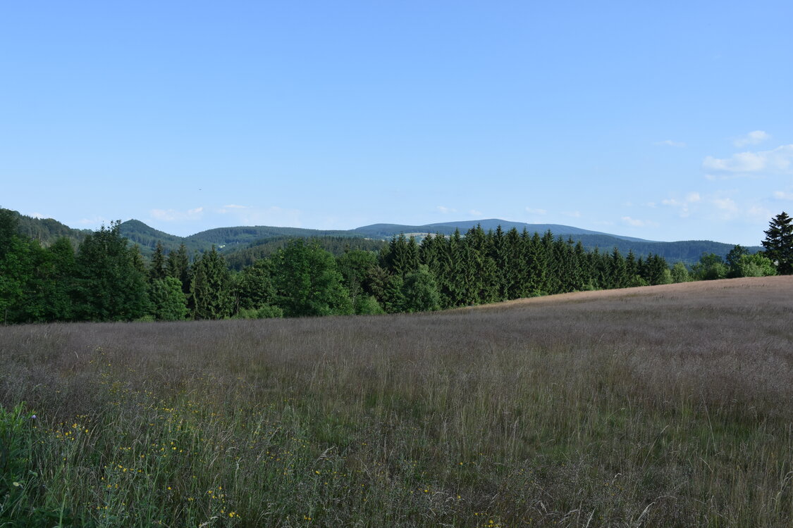 an2_005251.jpg