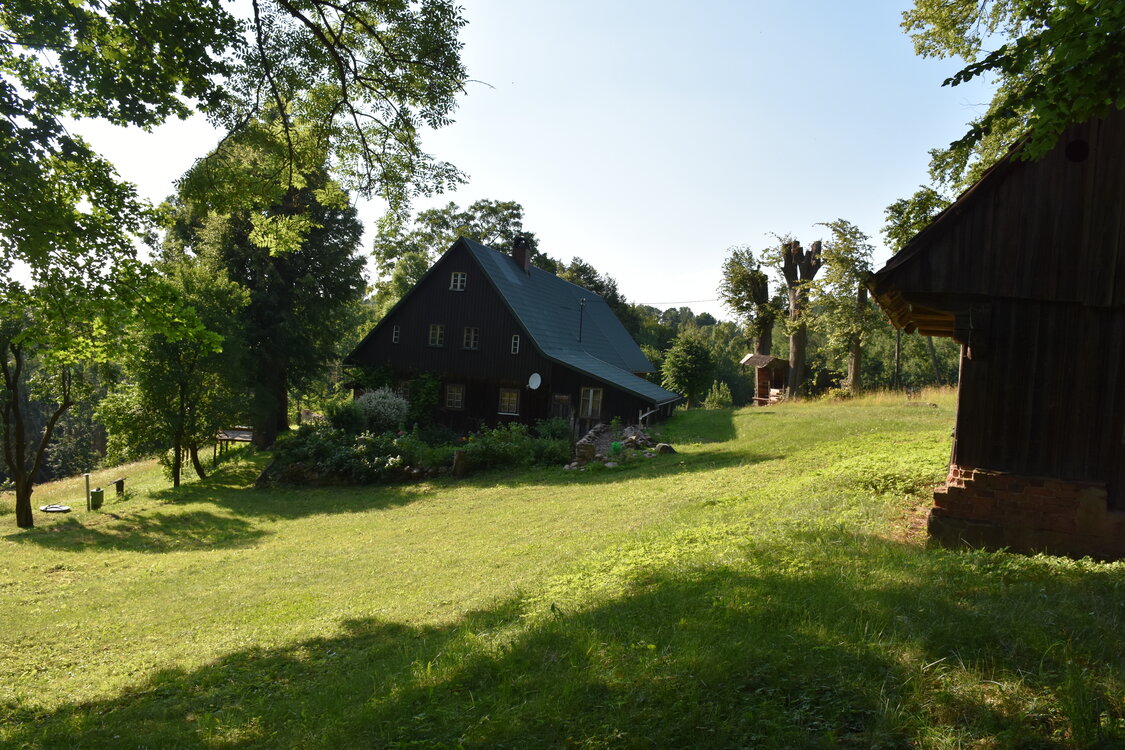 an2_005255.jpg