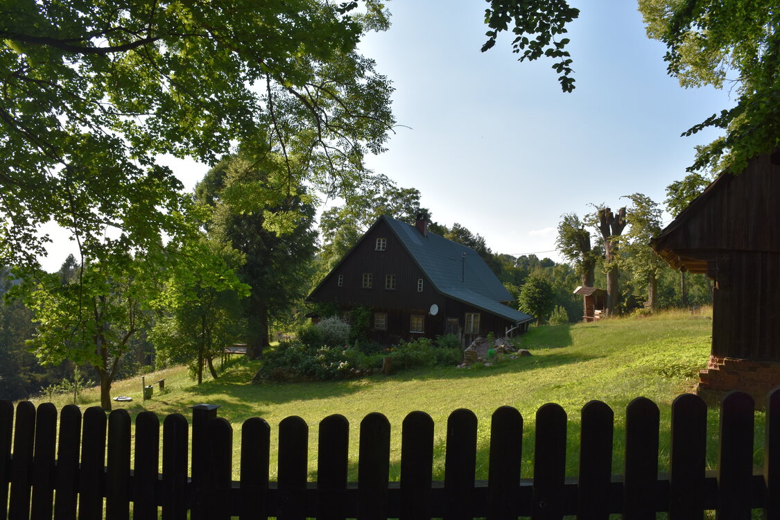 an2_005256.jpg