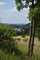 an2_005119.jpg