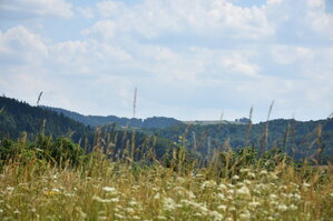 an2_005122.jpg