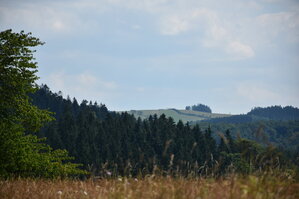 an2_005124.jpg