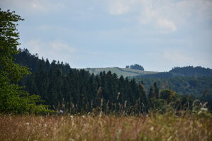 an2_005125.jpg