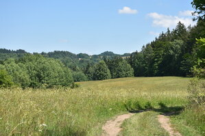 an2_005126.jpg