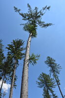 an2_005128.jpg